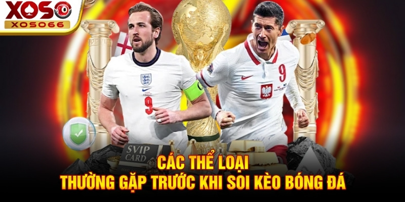 Các thể loại thường gặp trước khi soi kèo bóng đá Các thể loại thường gặp trước khi soi kèo bóng đá