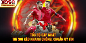 Tốc độ cập nhật tin soi kèo nhanh chóng, chuẩn uy tín!