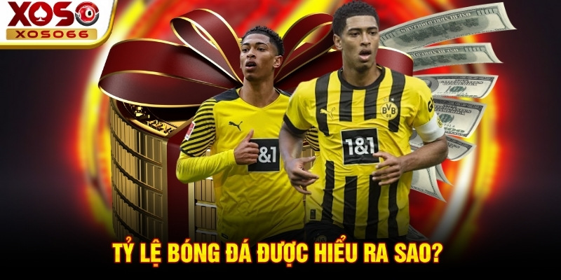 Tỷ lệ bóng đá được hiểu ra sao? Tỷ lệ bóng đá được hiểu ra sao?
